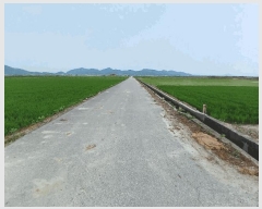  2025Ÿ51699    긮 1948-1      ()