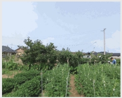  2025Ÿ51699    긮 1948-1      ()