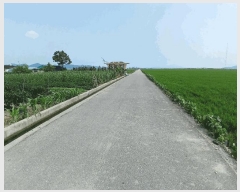  2025Ÿ51699    긮 1948-1      ()