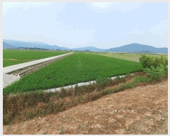  2025Ÿ51699    긮 1948-1      ()