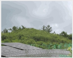  2025Ÿ��51705 ���� ������ �뵿�� ��ø� ��5      ����(�Ӿ�)���