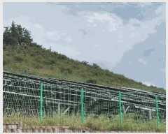  2025Ÿ��51705 ���� ������ �뵿�� ��ø� ��5      ����(�Ӿ�)���