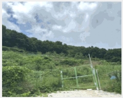  2025Ÿ51738    61       (Ӿ)