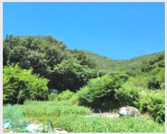  2025Ÿ51738    61       (Ӿ)