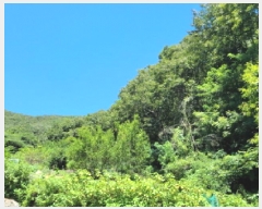  2025Ÿ51738    61       (Ӿ)