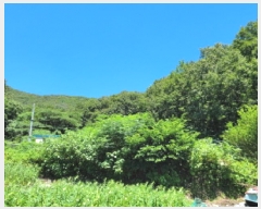  2025Ÿ51738    61       (Ӿ)