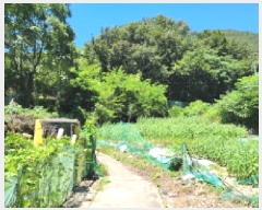  2025Ÿ51738    61       (Ӿ)