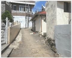  2025Ÿ��51844  �������