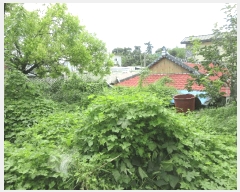  2025Ÿ��51844  �������