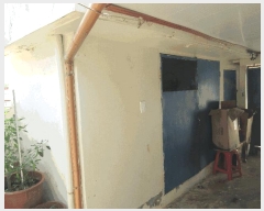  2025Ÿ��51844  �������