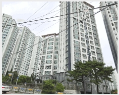  2025Ÿ��51879  ����Ʈ���