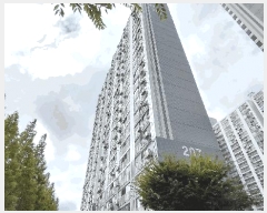  2025Ÿ51891   ߵ 1665 ȣ2Ʈ 207 21 2106ȣ   Ʈ