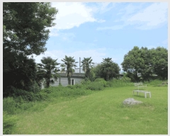  2025Ÿ��51897 ���� ������ ������ ��縮 1011-2      ���(ķ����)���