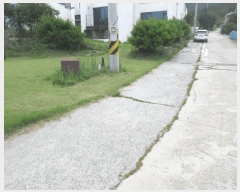  2025Ÿ��51897 ���� ������ ������ ��縮 1011-2      ���(ķ����)���