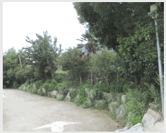  2025Ÿ��51897 ���� ������ ������ ��縮 1011-2      ���(ķ����)���