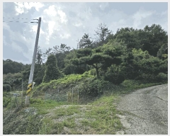  2025Ÿ��51957  �����