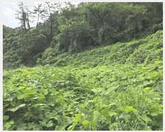  2025Ÿ��51957  �����