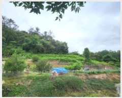  2025Ÿ��51957  �����