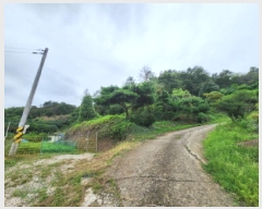  2025Ÿ��51957  �����