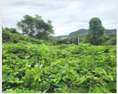  2025Ÿ��51957  �����