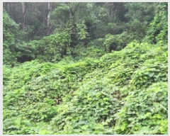  2025Ÿ��51957  �����