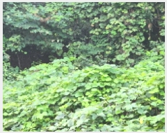  2025Ÿ��51957  �����