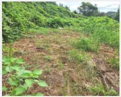  2025Ÿ��51957  �����