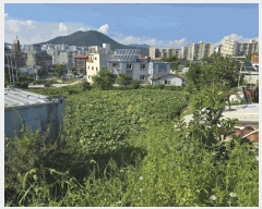  2025Ÿ51976    715-5       (1)