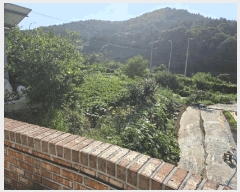  2025Ÿ51976    715-5       (1)