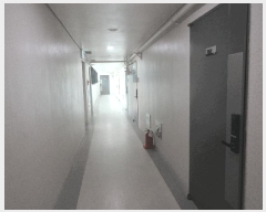  2025Ÿ��51994  ���ǽ��ڰ��