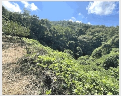  2025Ÿ��52000  ����