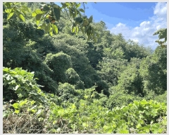  2025Ÿ��52000  ����