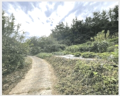  2025Ÿ��52000  ����