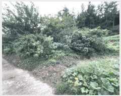  2025Ÿ��52000  ����