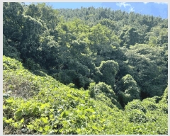  2025Ÿ��52000  ����