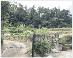  2025Ÿ��52000  ����