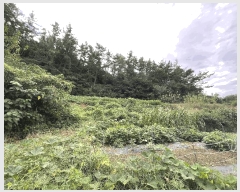  2025Ÿ��52000  ����