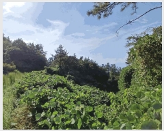  2025Ÿ��52012 ���� ������ ������ ��縮 ��487      ����(�Ӿ�)���