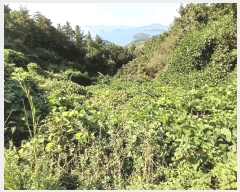  2025Ÿ��52012 ���� ������ ������ ��縮 ��487      ����(�Ӿ�)���