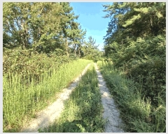  2025Ÿ��52012 ���� ������ ������ ��縮 ��487      ����(�Ӿ�)���