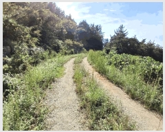  2025Ÿ��52012 ���� ������ ������ ��縮 ��487      ����(�Ӿ�)���