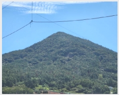  2025Ÿ��52012 ���� ������ ������ ��縮 ��487      ����(�Ӿ�)���