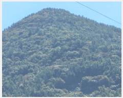  2025Ÿ��52012 ���� ������ ������ ��縮 ��487      ����(�Ӿ�)���