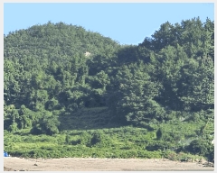  2025Ÿ��52024 ���� ���ﱺ ��ȭ�� ���ϸ� 960-3      ����(��)���