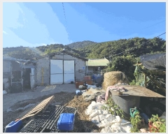  2025Ÿ��52024 ���� ���ﱺ ��ȭ�� ���ϸ� 960-3      ����(��)���