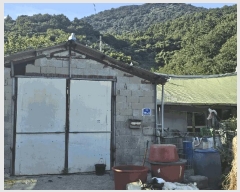  2025Ÿ��52024 ���� ���ﱺ ��ȭ�� ���ϸ� 960-3      ����(��)���