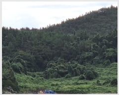  2025Ÿ��52024 ���� ���ﱺ ��ȭ�� ���ϸ� 960-3      ����(��)���