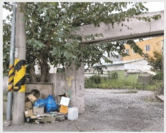  2025Ÿ��52108  �������