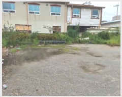  2025Ÿ��52108  �������