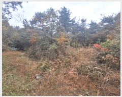  2025Ÿ��52138  �Ӿ߰��